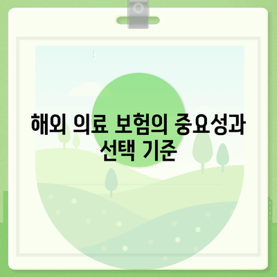 장기 외국 여행을 위한 보험 옵션 탐구하기