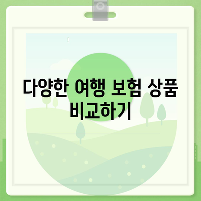 안전한 여행을 위한 여행 보험 선택 전담자