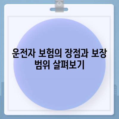 자동차 보험과 운전자 보험 보장 차이점 알아두기