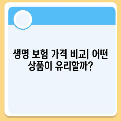 생명 보험 가격