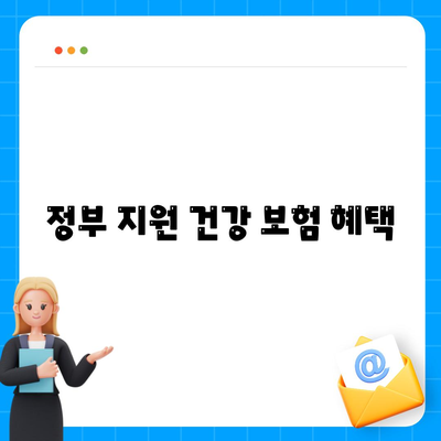 건강 보험 가격