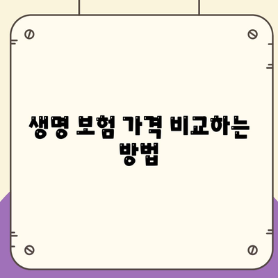 생명 보험 가격