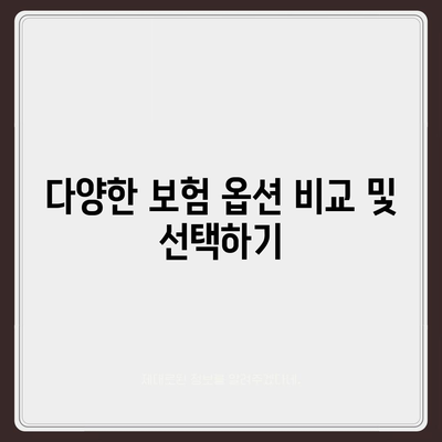 업무용 자동차 보험 요구 사항 파악하기