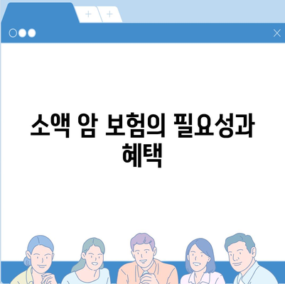 비갱신 암 보험 가입, 재진단 암 보험, 소액 암 보험, 유사 암 보험 암 진단비 확인하기