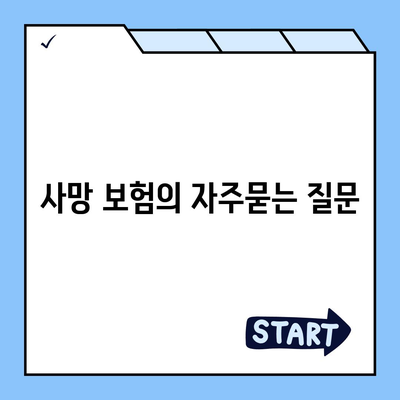 사망 보험