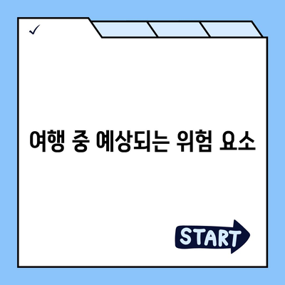 여행 보험, 안심한 여행을 위한 필수품