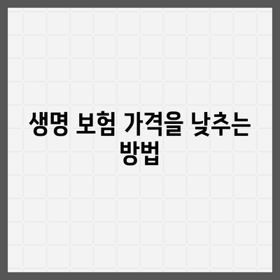 생명 보험 가격