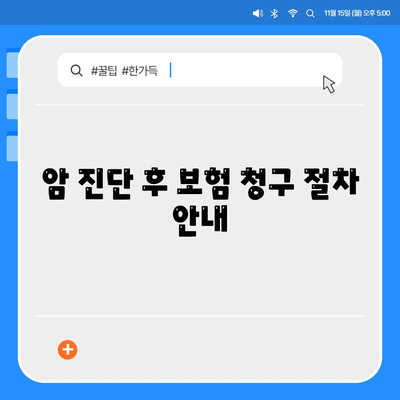 암 보험 가이드