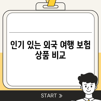 비자 발급을 위한 외국 여행 보험 증명서