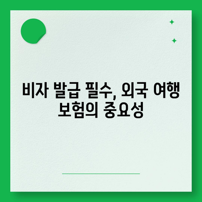 비자 발급을 위한 외국 여행 보험 증명서