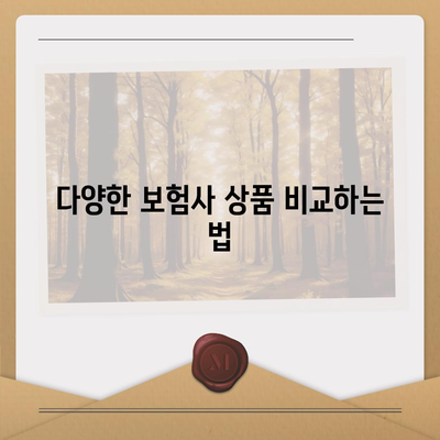 다이렉트 자동차보험 비교 체크리스트