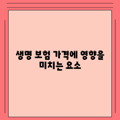 생명 보험 가격