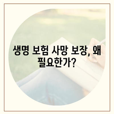 생명 보험 사망 보장