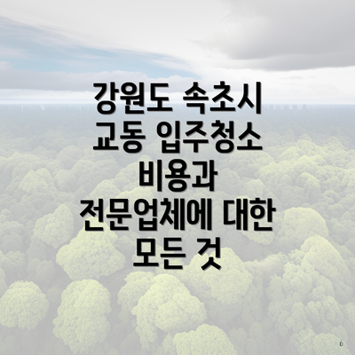 강원도 속초시 교동 입주청소 비용과 전문업체에 대한 모든 것