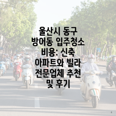 울산시 동구 방어동 입주청소 비용: 신축 아파트와 빌라 전문업체 추천 및 후기