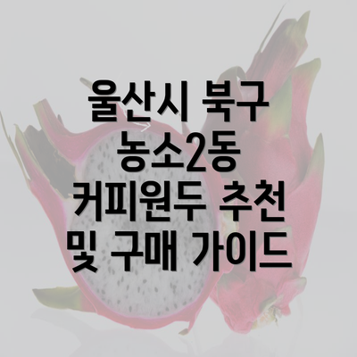 울산시 북구 농소2동 커피원두 추천 및 구매 가이드