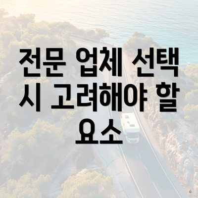 전문 업체 선택 시 고려해야 할 요소