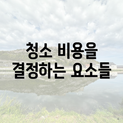 청소 비용을 결정하는 요소들