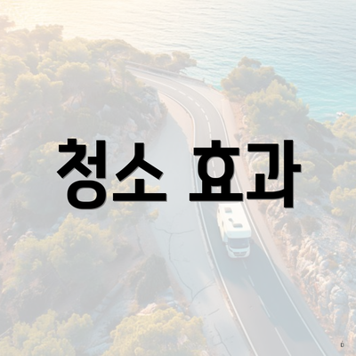 청소 효과