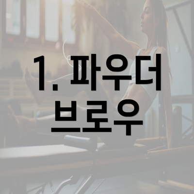 1. 파우더 브로우