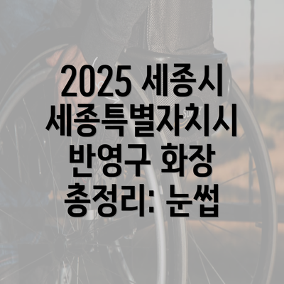 2025 세종시 세종특별자치시 반영구 화장 총정리: 눈썹