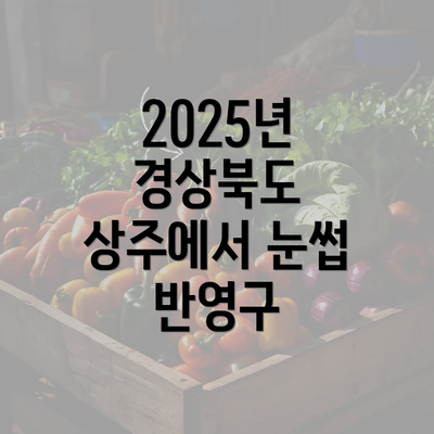 2025년 경상북도 상주에서 눈썹 반영구