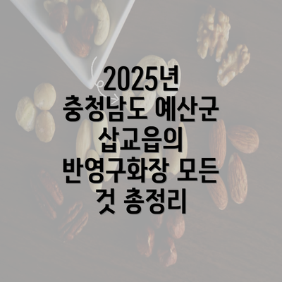 2025년 충청남도 예산군 삽교읍의 반영구화장 모든 것 총정리