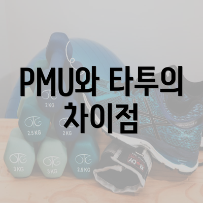 PMU와 타투의 차이점