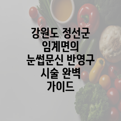 강원도 정선군 임계면의 눈썹문신 반영구 시술 완벽 가이드