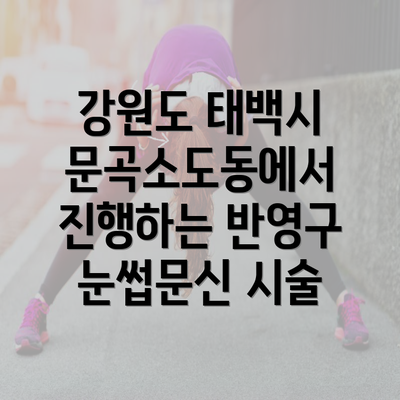 강원도 태백시 문곡소도동에서 진행하는 반영구 눈썹문신 시술