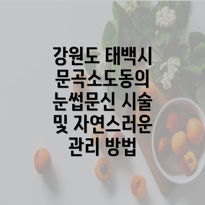 강원도 태백시 문곡소도동의 눈썹문신 시술 및 자연스러운 관리 방법