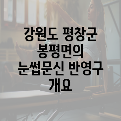 강원도 평창군 봉평면의 눈썹문신 반영구 개요