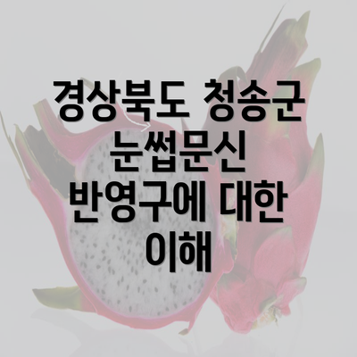 경상북도 청송군 눈썹문신 반영구에 대한 이해