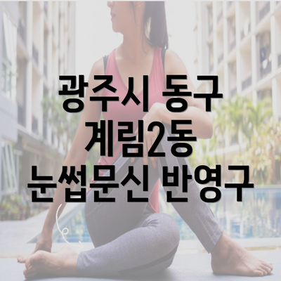 광주시 동구 계림2동 눈썹문신 반영구