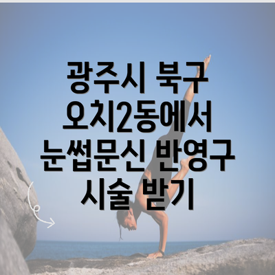 광주시 북구 오치2동에서 눈썹문신 반영구 시술 받기