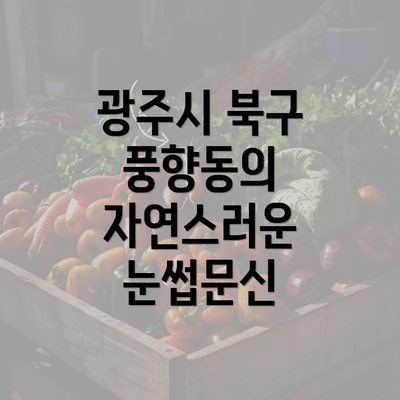 광주시 북구 풍향동의 자연스러운 눈썹문신