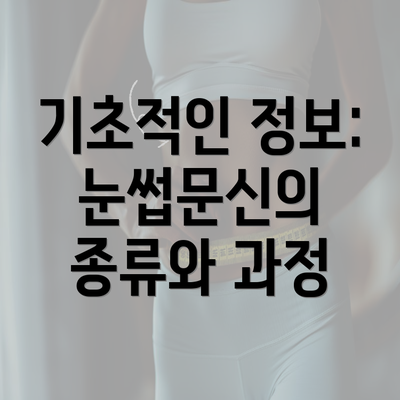 기초적인 정보: 눈썹문신의 종류와 과정