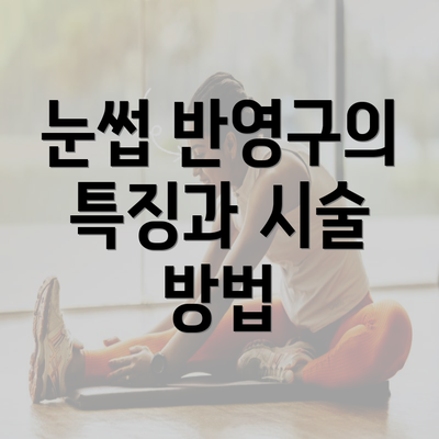 눈썹 반영구의 특징과 시술 방법