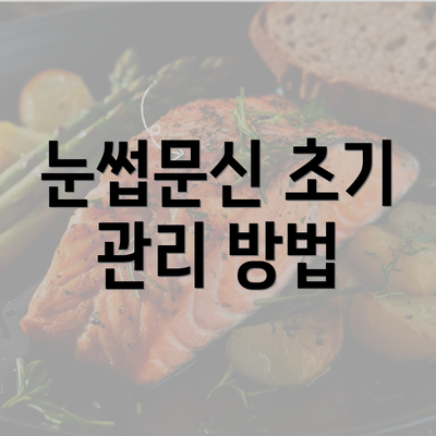 눈썹문신 초기 관리 방법