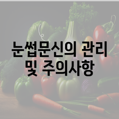 눈썹문신의 관리 및 주의사항