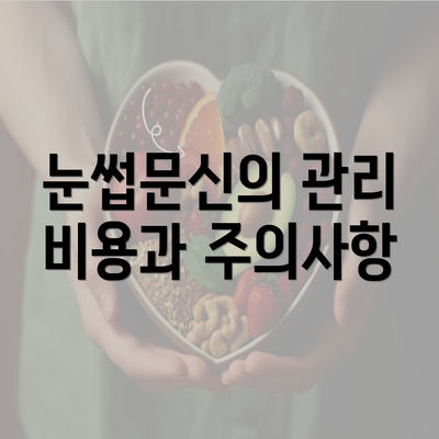 눈썹문신의 관리 비용과 주의사항