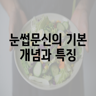 눈썹문신의 기본 개념과 특징