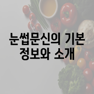 눈썹문신의 기본 정보와 소개