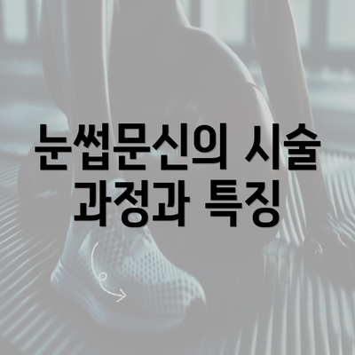 눈썹문신의 시술 과정과 특징