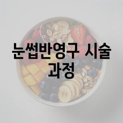 눈썹반영구 시술 과정