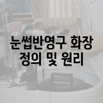 눈썹반영구 화장 정의 및 원리