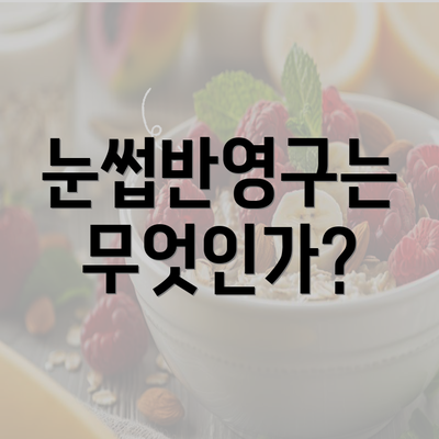 눈썹반영구는 무엇인가?