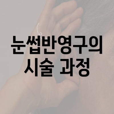 눈썹반영구의 시술 과정