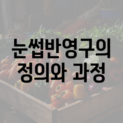 눈썹반영구의 정의와 과정