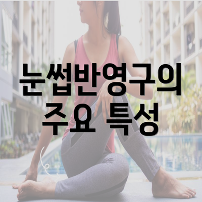 눈썹반영구의 주요 특성